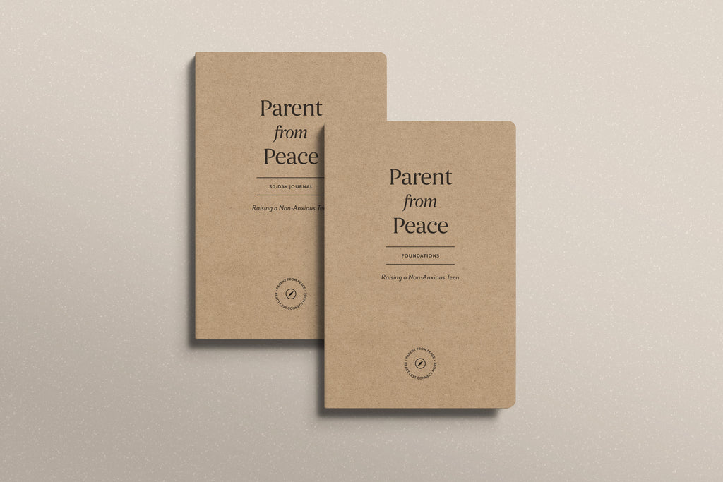 The 7 Day Foundation Course + The 30 Day Journal Bundle